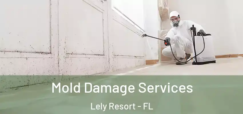Mold Damage Services Lely Resort - FL