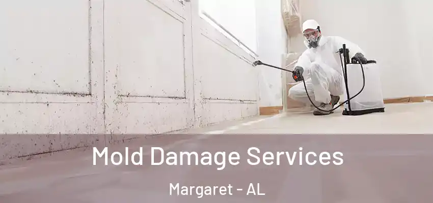 Mold Damage Services Margaret - AL