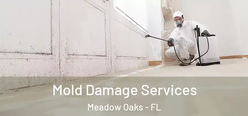 Mold Damage Services Meadow Oaks - FL