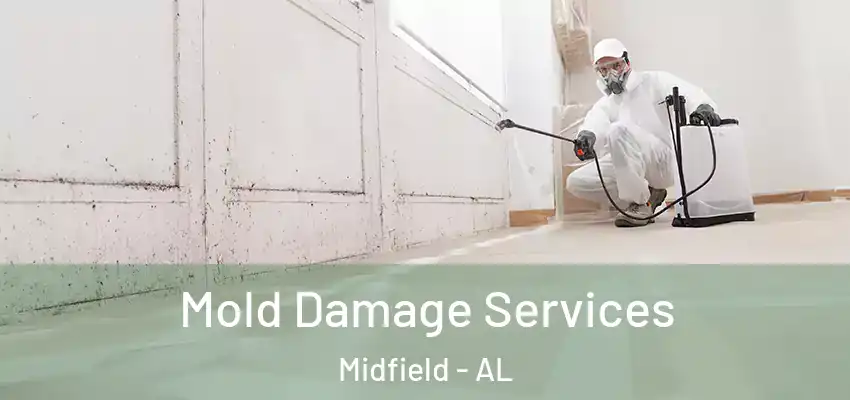  Mold Damage Services Midfield - AL