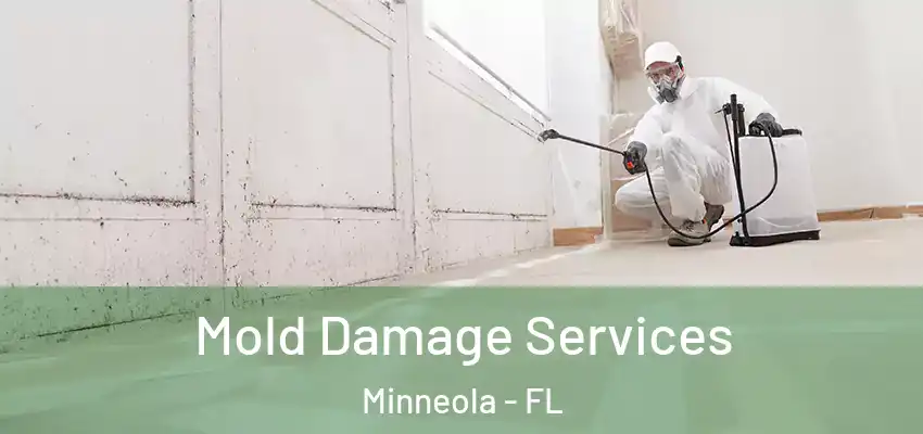  Mold Damage Services Minneola - FL