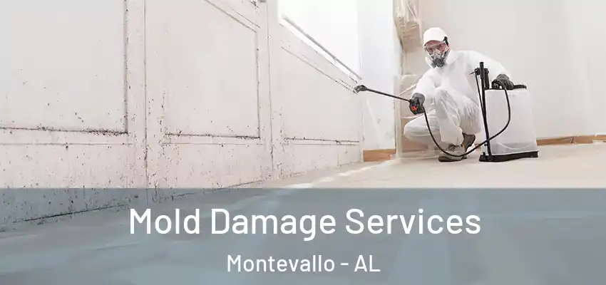 Mold Damage Services Montevallo - AL