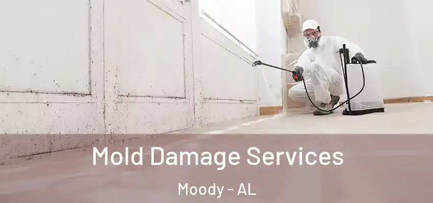  Mold Damage Services Moody - AL