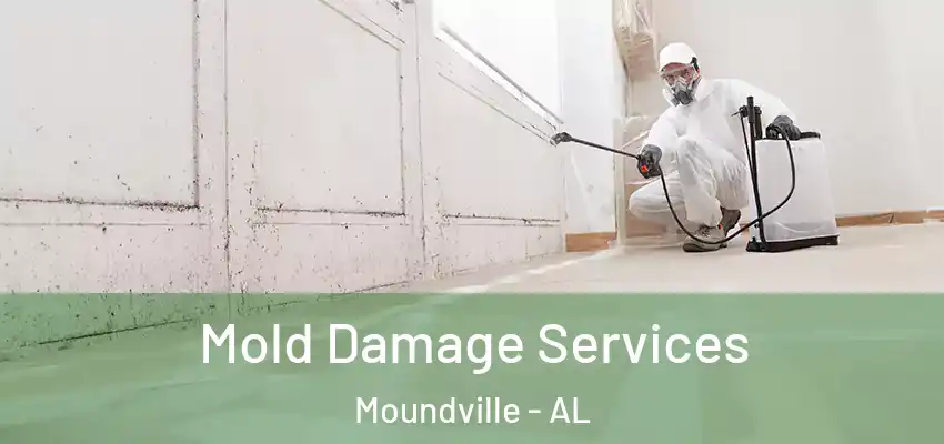 Mold Damage Services Moundville - AL