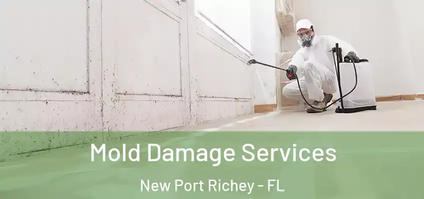  Mold Damage Services New Port Richey - FL