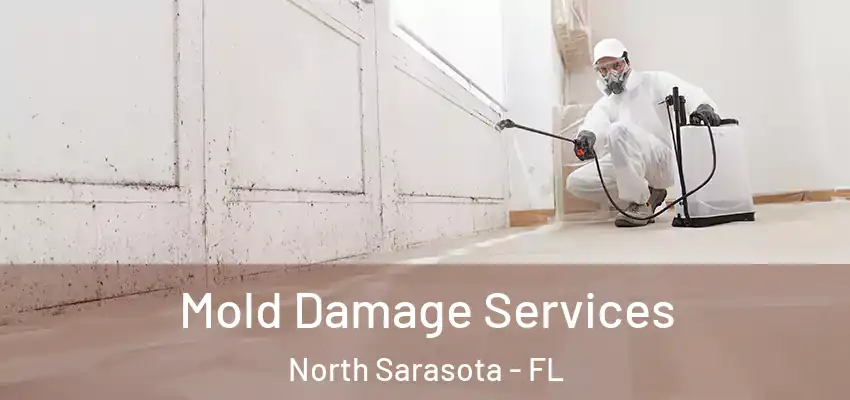 Mold Damage Services North Sarasota - FL