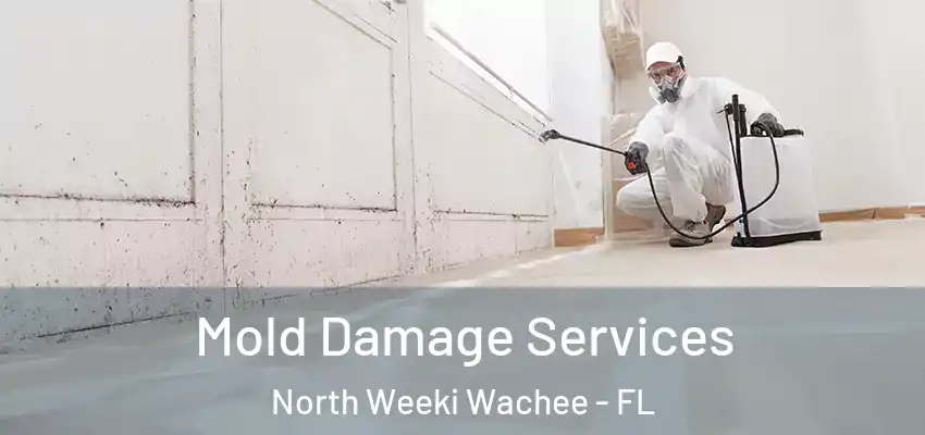  Mold Damage Services North Weeki Wachee - FL
