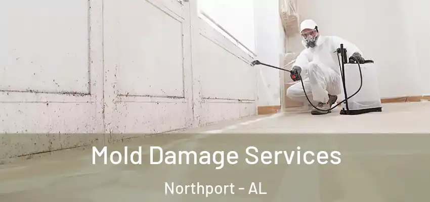 Mold Damage Services Northport - AL