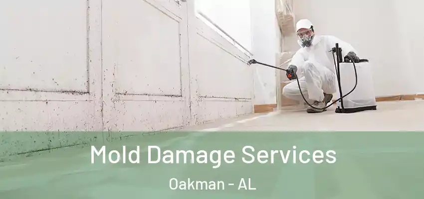  Mold Damage Services Oakman - AL
