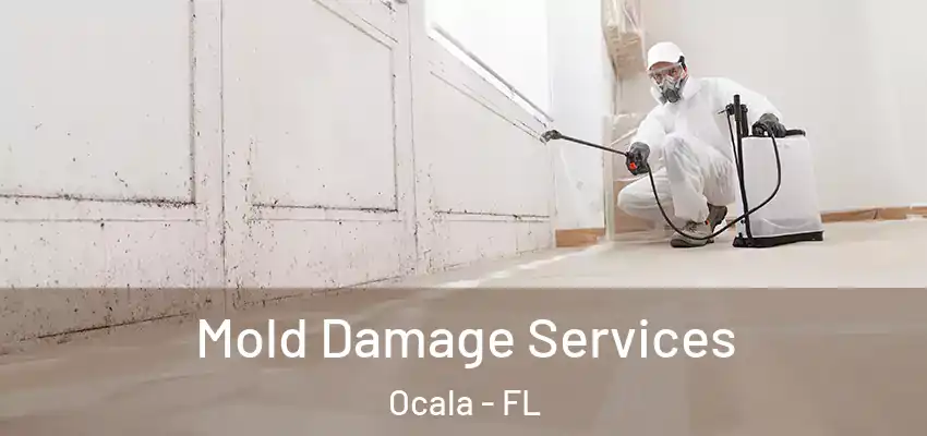 Mold Damage Services Ocala - FL