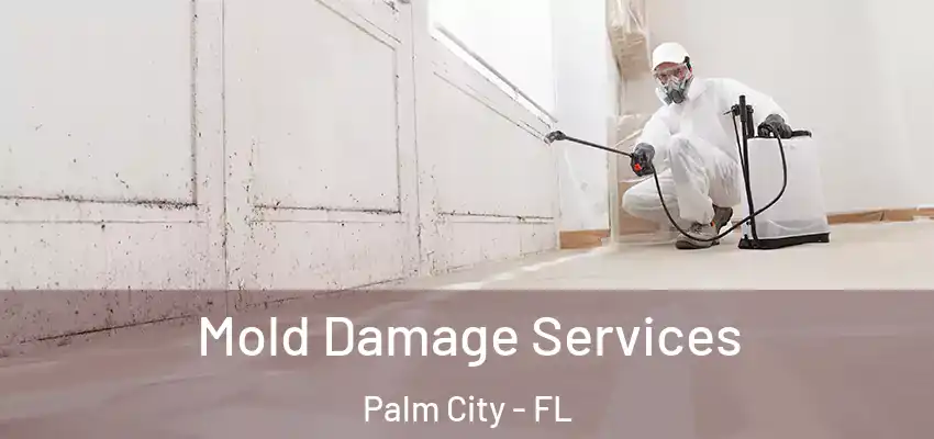 Mold Damage Services Palm City - FL