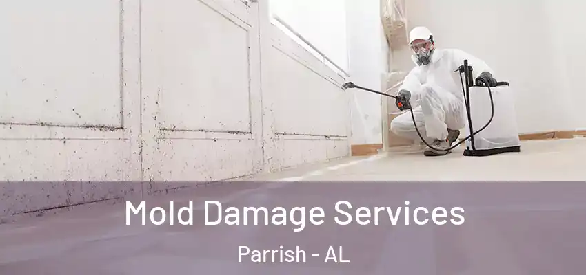  Mold Damage Services Parrish - AL