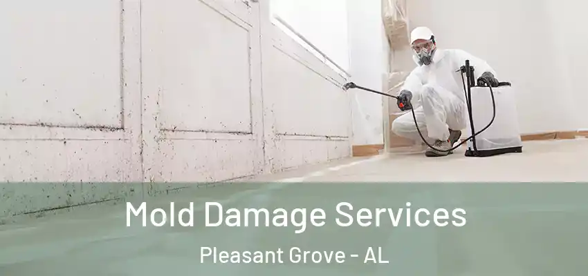 Mold Damage Services Pleasant Grove - AL
