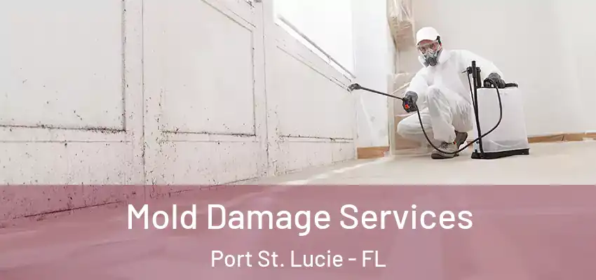 Mold Damage Services Port St. Lucie - FL
