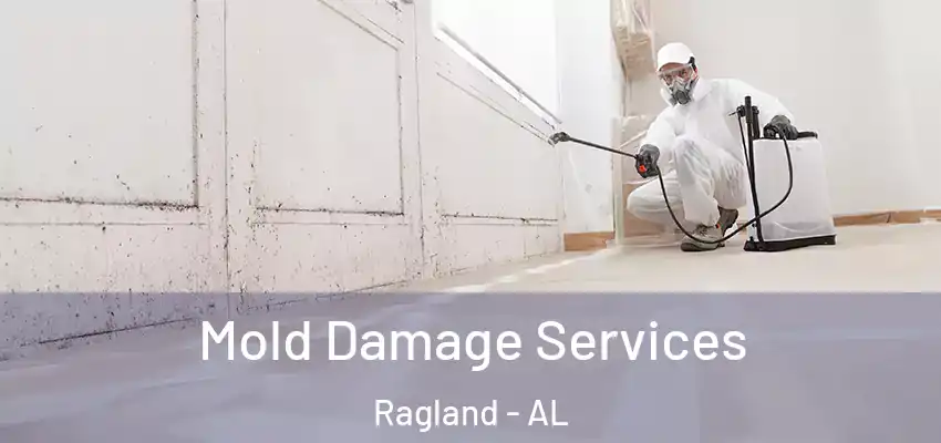  Mold Damage Services Ragland - AL