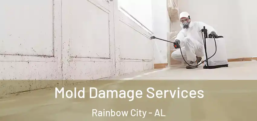 Mold Damage Services Rainbow City - AL