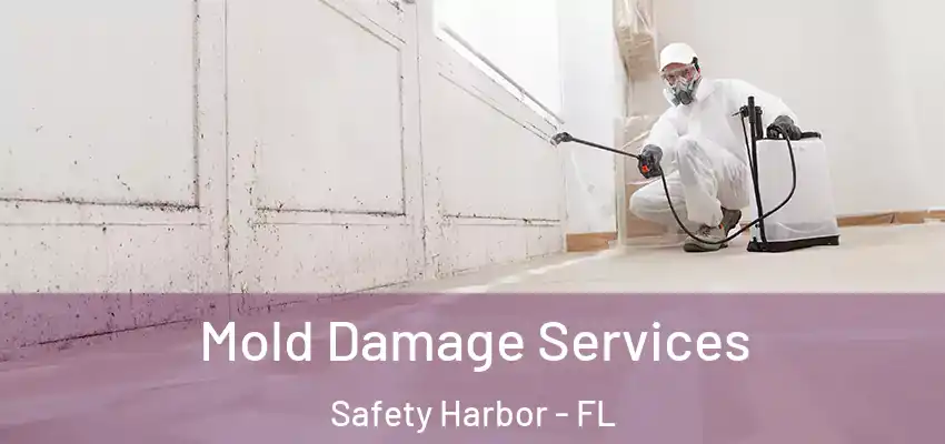 Mold Damage Services Safety Harbor - FL