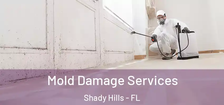  Mold Damage Services Shady Hills - FL