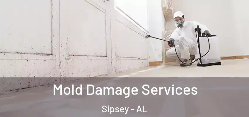 Mold Damage Services Sipsey - AL