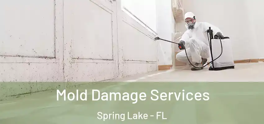 Mold Damage Services Spring Lake - FL