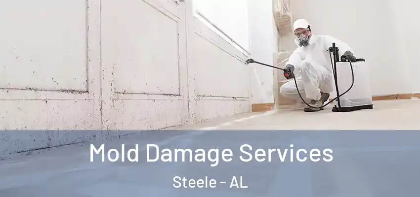  Mold Damage Services Steele - AL