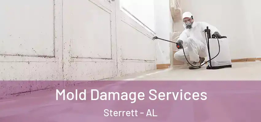  Mold Damage Services Sterrett - AL