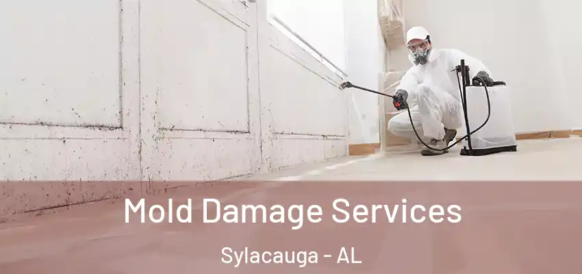 Mold Damage Services Sylacauga - AL
