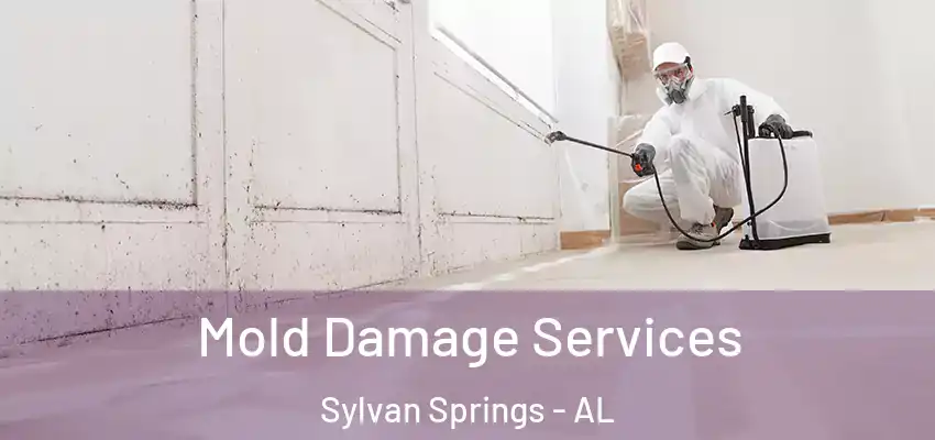  Mold Damage Services Sylvan Springs - AL