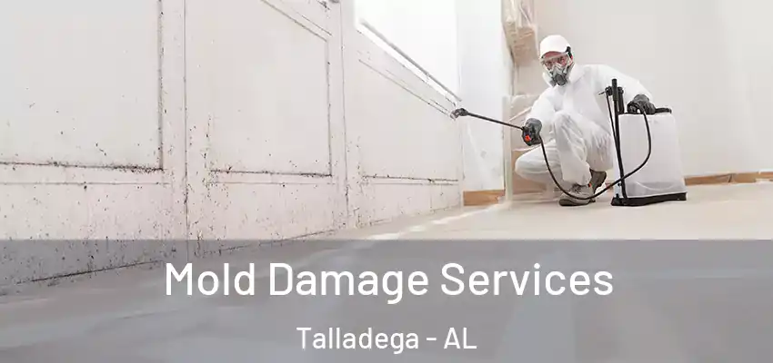 Mold Damage Services Talladega - AL