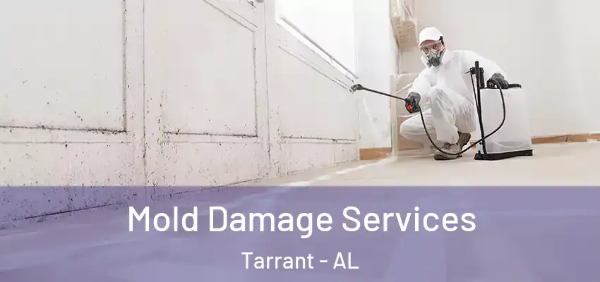  Mold Damage Services Tarrant - AL