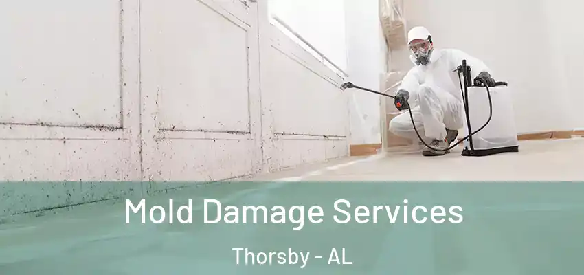 Mold Damage Services Thorsby - AL