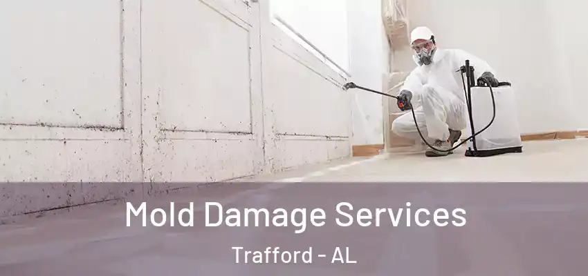  Mold Damage Services Trafford - AL