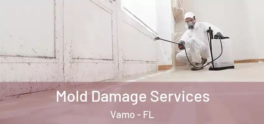  Mold Damage Services Vamo - FL