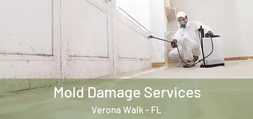 Mold Damage Services Verona Walk - FL