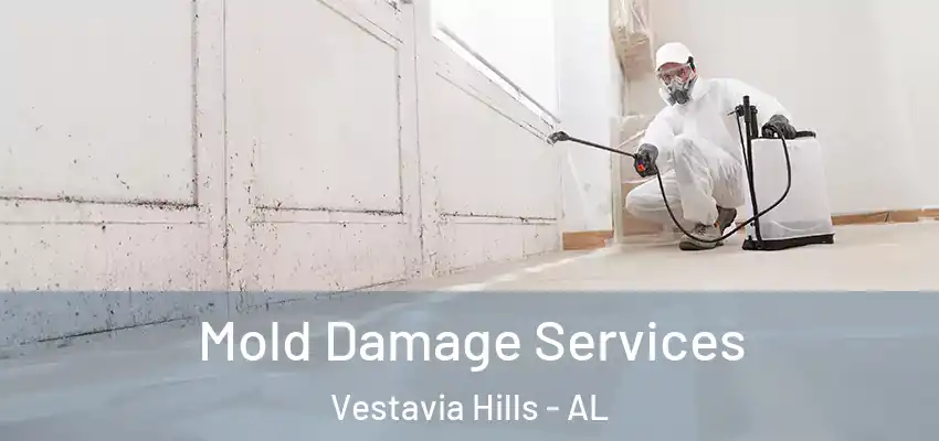  Mold Damage Services Vestavia Hills - AL