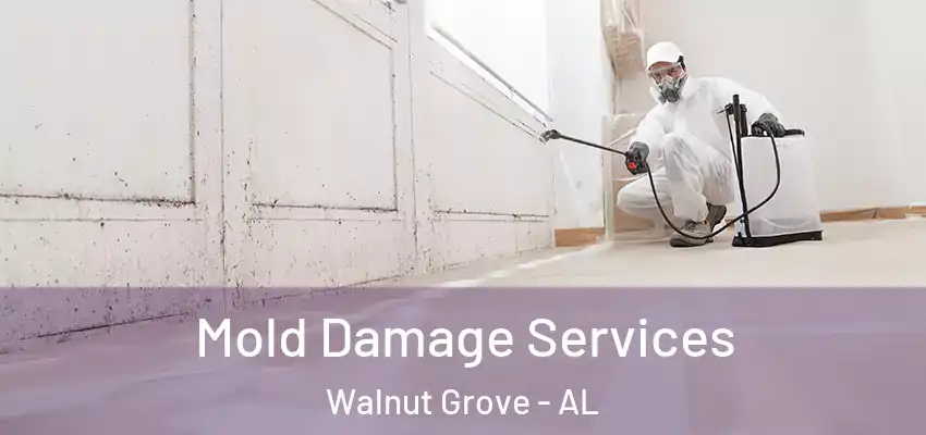 Mold Damage Services Walnut Grove - AL