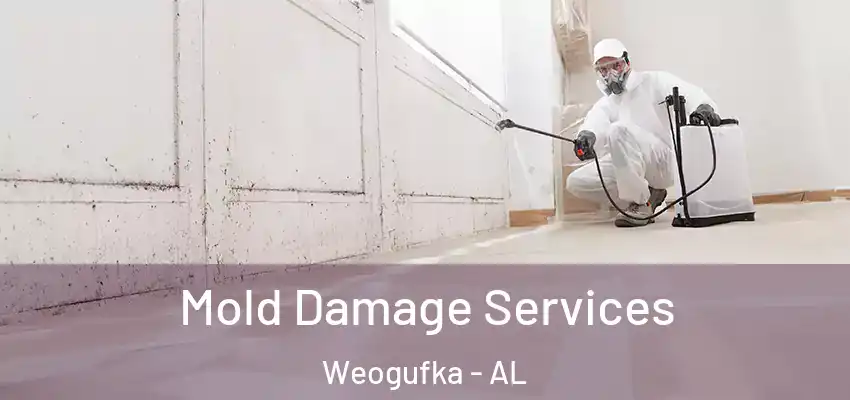 Mold Damage Services Weogufka - AL