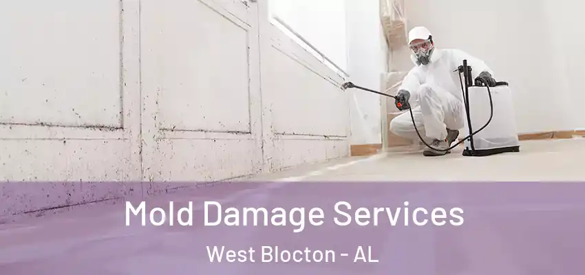 Mold Damage Services West Blocton - AL