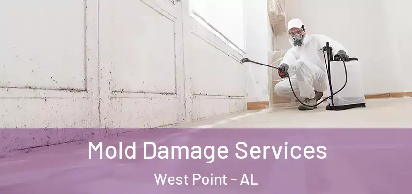  Mold Damage Services West Point - AL