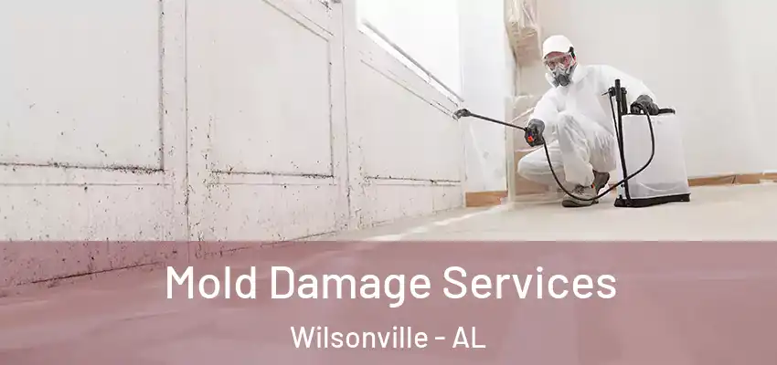 Mold Damage Services Wilsonville - AL