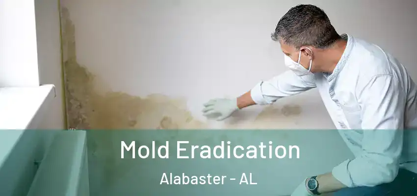 Mold Eradication Alabaster - AL