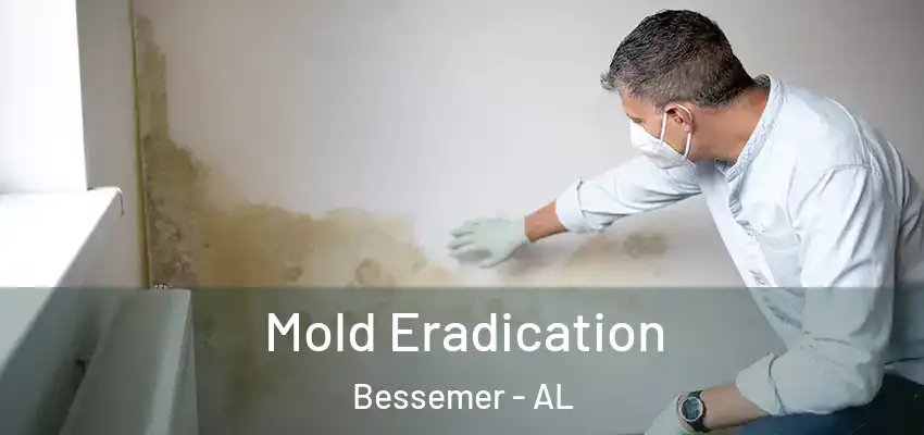  Mold Eradication Bessemer - AL