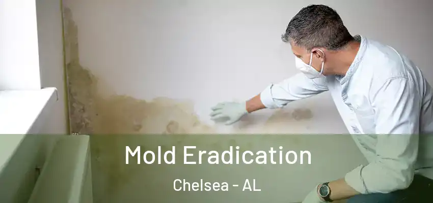  Mold Eradication Chelsea - AL