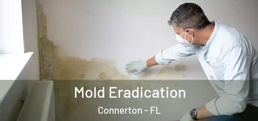 Mold Eradication Connerton - FL
