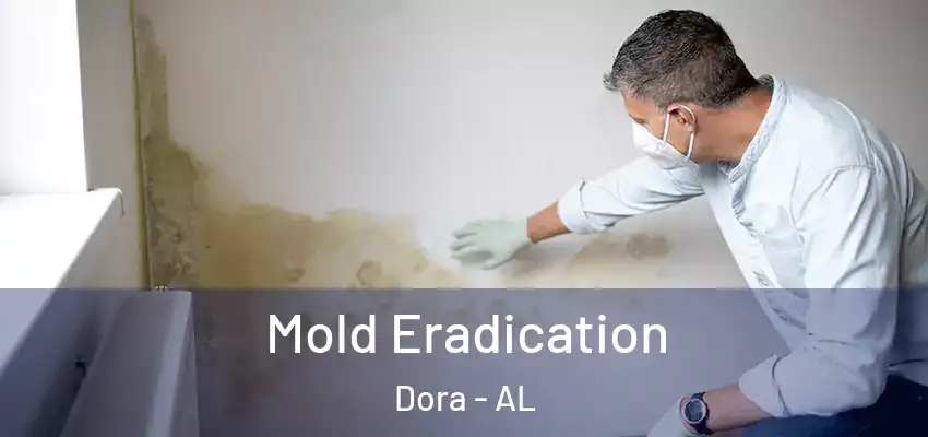 Mold Eradication Dora - AL