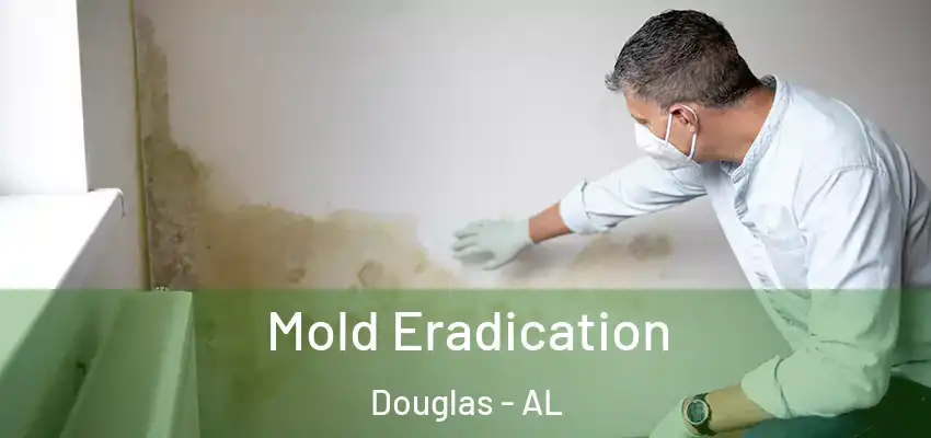 Mold Eradication Douglas - AL