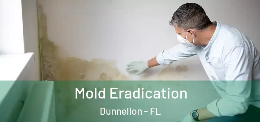 Mold Eradication Dunnellon - FL