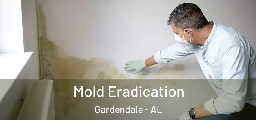  Mold Eradication Gardendale - AL