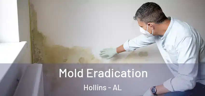 Mold Eradication Hollins - AL