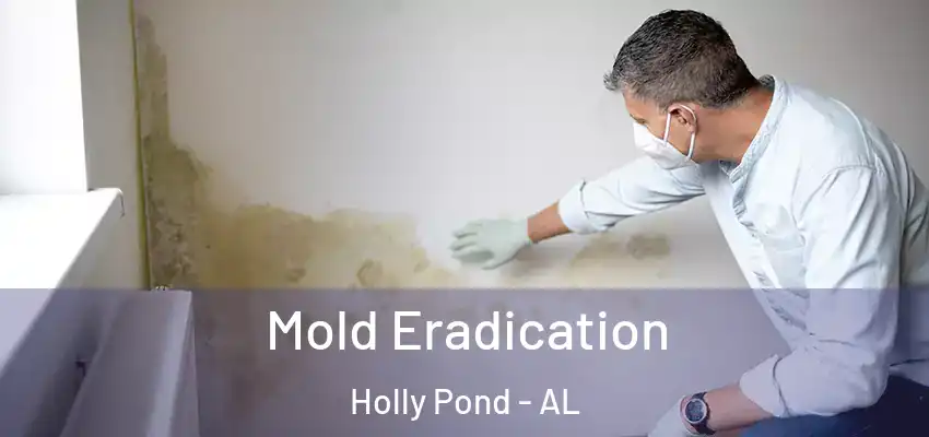Mold Eradication Holly Pond - AL